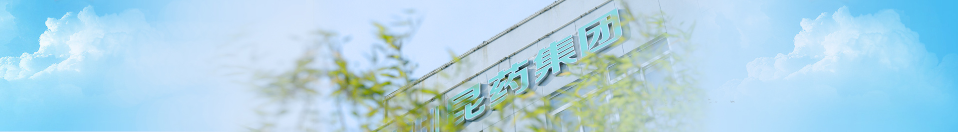 腾龙集团(中国)有限公司官网