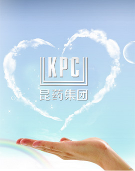 腾龙集团(中国)有限公司官网