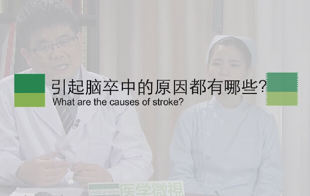 【脑卒中专题】引起脑卒中的原因都有哪些？？？
