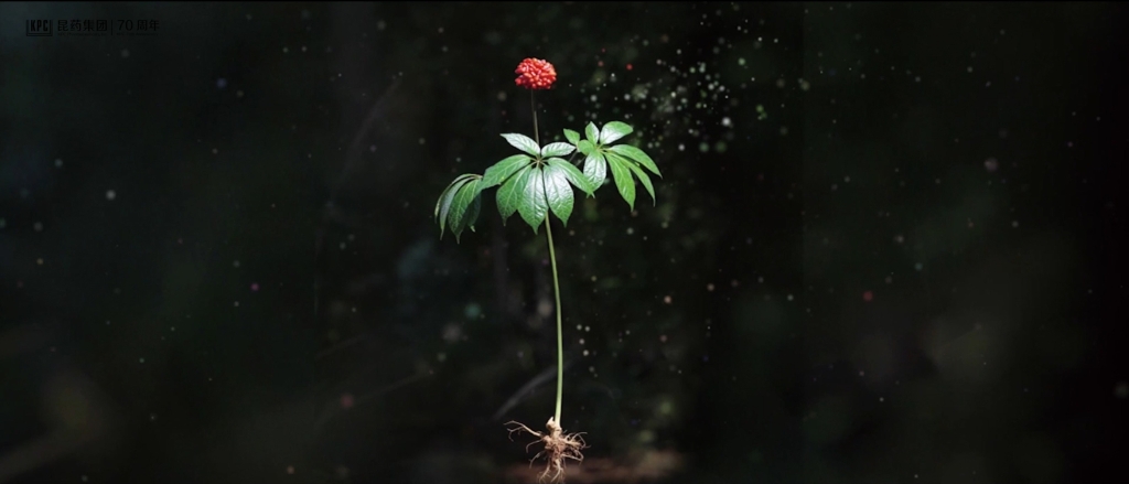 听，，三七在措辞